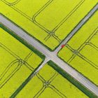 Navigating Your First TEFL Job: China’s Tier 4 or Korea’s Public Schools?