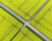 Navigating Your First TEFL Job: China’s Tier 4 or Korea’s Public Schools?