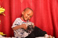 From Experienced Teacher to CELTA Candidate: Smart Strategies for Success