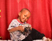 Navigating the Maze of Online TEFL Providers: A Guide for Savvy Educators