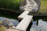 Building a Strong Foundation for Your TEFL Career in Japan