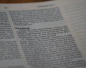 Finding the Right TEFL Certification: Your Guide to Quality and Credibility