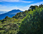 Where People Actually Go on the Weekends in Costa Rica (When They Live There)