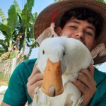 What Is a TEFL Internship? (And Why It’s Perfect for First-Time Teachers)