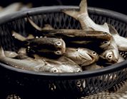 The Real Cost of Living: A TEFL Teacher’s Guide to Budgeting Abroad