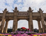 Finding Your Path to University English Teaching in China