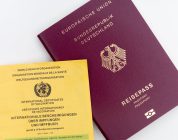 Navigating Your First TEFL Steps: From Qualification to Classroom