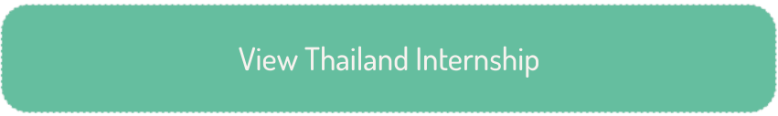View Thailand Internship Button