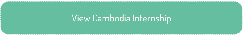 View Cambodia Internship Button
