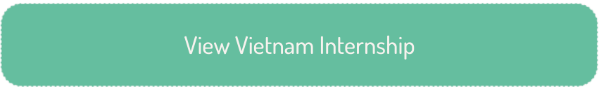View Vietnam Internship Button