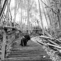 The Quiet Life: Why Rural Taiwan Might Be Your Perfect TEFL Destination