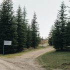 The Three-Year Countdown: To Stay or To Go?