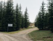 The Three-Year Countdown: To Stay or To Go?