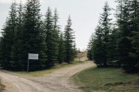 The Three-Year Countdown: To Stay or To Go?