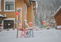 Decoding “2 Weeks Winter Holiday” in Chinese TEFL Job Listings