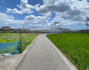 The Quiet Life: Why a Small Town Eikawa in Shikoku Might Be Your Best Move