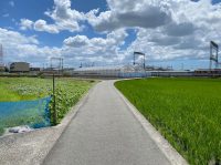 The Quiet Life: Why a Small Town Eikawa in Shikoku Might Be Your Best Move