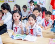 Level 5 TEFL for Vietnam: Is It Enough Without a CELTA?