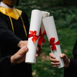 Ed.D vs. PhD in Asia: Which Degree Holds More Weight for TEFL Professionals?