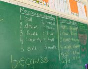 Korea vs. Japan: Which Country is Right for Your First Year Teaching English Abroad?