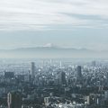 The Gaba Gamble: Why Teaching English in Japan Isn’t Always the Dream